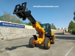 Heracles Telescopic loader ( H580T)